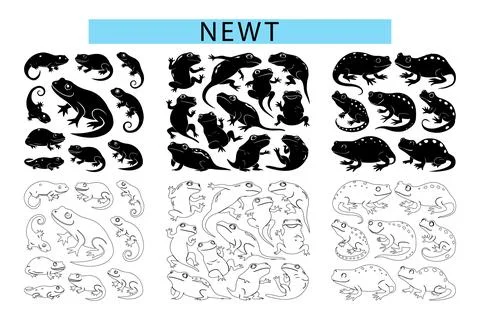 Simple Newt outline vector illustration, Newt silhouette vector graphics Stock Illustration