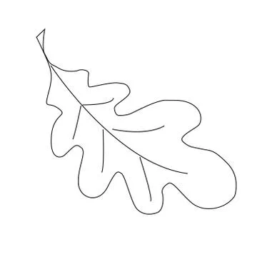 Simple outline drawing of a oak leaf. Stock Illustration