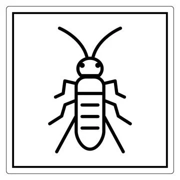 Simple Outline of an Insect for Educational Use Illustrazione stock
