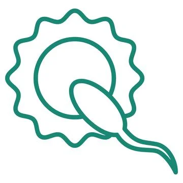 Simple outline modern turquoise schematic icon of the human reproductive syst Stockillustratie