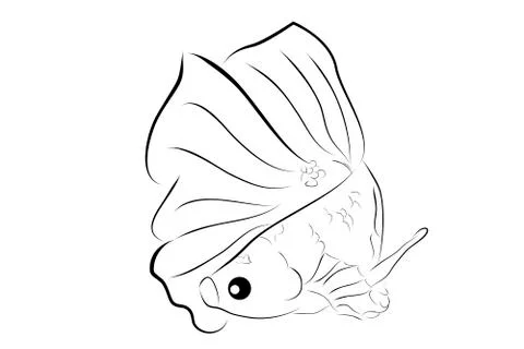 Simple Outline Vector Betta or siamese fighting fish , on Whitebackground Stock Illustration