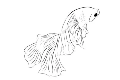 Simple Outline Vector Betta or siamese fighting fish, Giant Half Moon Stock Illustration