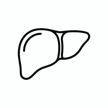Simple outline vector icon of human liver anatomy with healthcare, gastroen.. Illustrazione stock