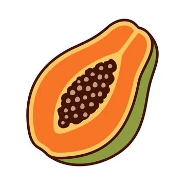 Simple Papaya Fruit Illustration Vector Template Stock Illustration