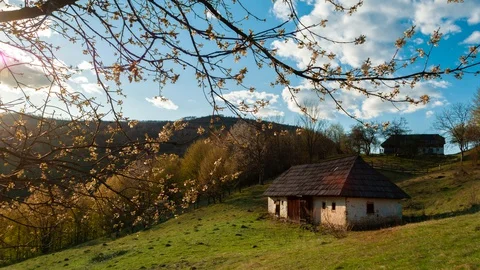 Simple peaceful spring landscape in rural Romania, old house and blooming bra Stock Footage 129701002
