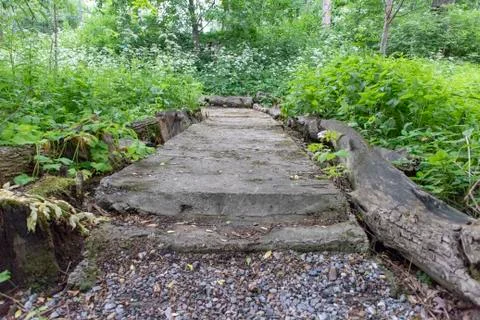 Simple photo background pattern of concrete path in forest Stock Photos