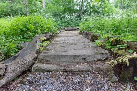Simple photo background pattern of concrete path in forest Stock Photos