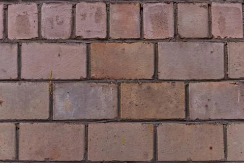 Simple photo background pattern of flat pink brick wall. Suitable for town de Stock Photos