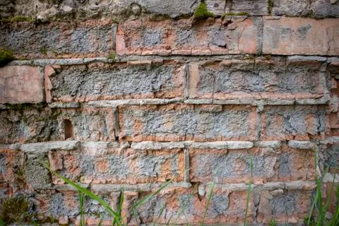 Simple photo background pattern of red brick wall fragment with green grass Stock Photos
