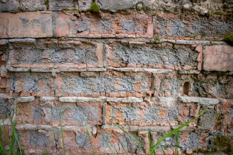 Simple photo background pattern of red brick wall fragment with green grass Stock Photos
