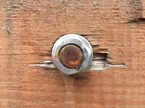 Simple photo pattern of screw nut in wood Stock Photos