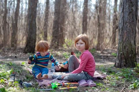 A simple picnic in the forest Stock Photos