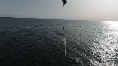  Simple Plankton Nets To Pick Zooplankton  動画素材 150506926