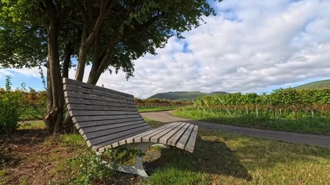Simple pleasure. A bench under a tree, the sky, and silence. The perfect recipe Stock Footage 287851756