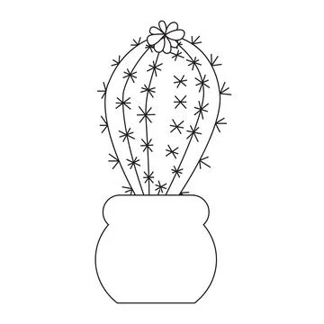 Simple plump blooming cactus in doodle style. Vector illustration isolated .. Stock Illustration