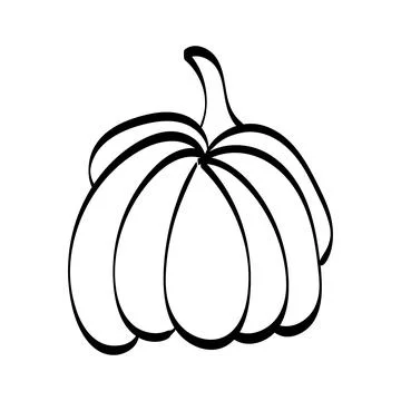 Simple Pumpkin Line Drawing Stock Illustration