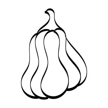 Simple Pumpkin Line Drawing Stock Illustration