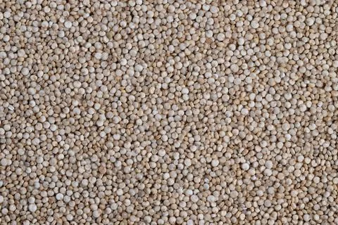 Simple quinoa backdrop, Clean and uniform distribution of quinoa seeds back.. Stock Photos