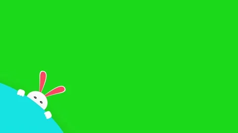 Simple rabbit watching animation on green background Stock Footage 235552369
