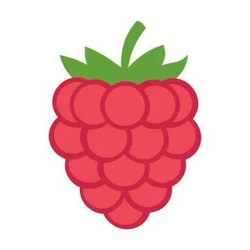 Simple Raspberry Fruit Icon Illustration Vector Template Stock Illustration
