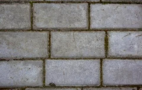 Simple rectangular paving slabs. Gray paving tiles details close-up. The texture Stock Photos