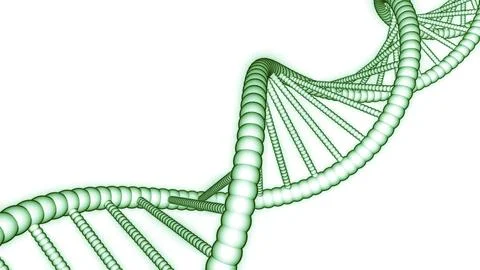 Simple rotating dna chain on white background. Design. Animation of simple dna Stock Illustration