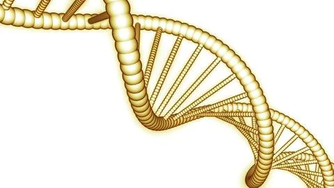 Simple rotating dna chain on white background. Design. Animation of simple dna Stock Illustration