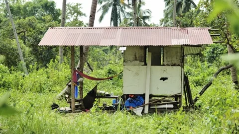 Simple Rural Hut Surrounded By Tropical Greenery In Palawan Landscape Stock Footage 336636333