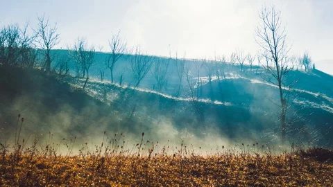 Simple rural landscape timelapse, mist rising from the ground Stock Footage 129701104