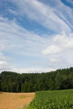 Simple rural landscape view Stock Photos