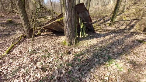 Simple rustic shelter made of wood and rusty metal sheets in the middle of a for Stock Footage 333642811