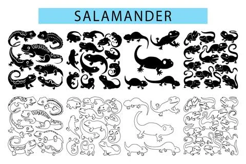 Simple Salamander outline vector illustration, Salamander silhouette Ilustración de archivo