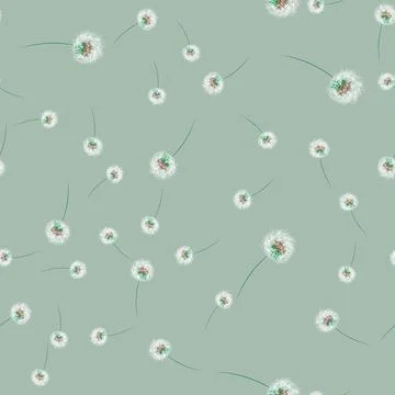 Simple seamless pattern with dandelion Botanical vector illustration Stock Illustration