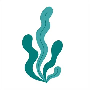 Simple seaweeds hand drawn in doodle style 스톡 일러스트