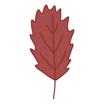 Simple serrated leaf, doodle style flat vector Stock Illustration