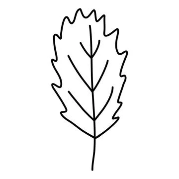 Simple serrated leaf, doodle style flat vector outline for coloring book Stock Illustration