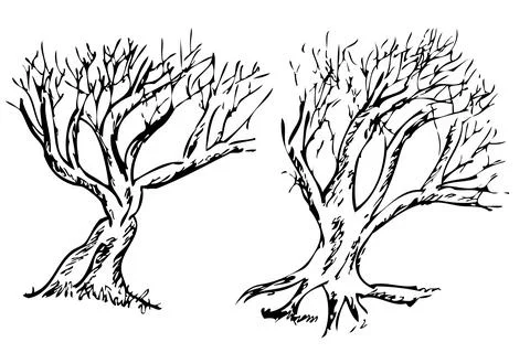 Simple Set 2 Vector Hand Draw Sketch, Big Dead tree Illustrazione stock