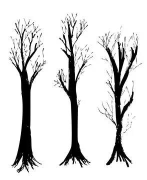 Simple Set 3 Vector Hand Draw Sketch, Silhouette Big Dead tree Stock Illustration