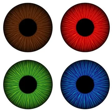 Simple set of human eyes iris isolated 스톡 일러스트