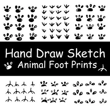 Simple Set Vector package, Six black and white hand draw sketch of various an Stock Illustration