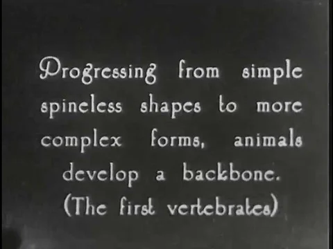Simple shaped life becomes more complex and the struggle for existence beginsƒ Stock Footage 75287992