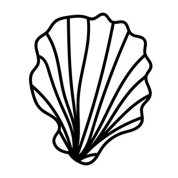 Simple shell outline illustration perfect for modern coastal designs. Stock Illustration