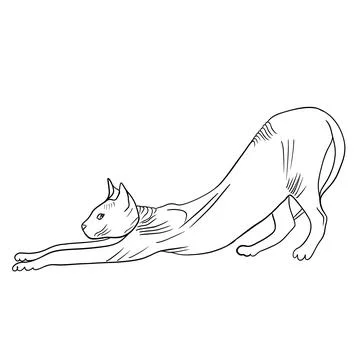 Simple sketch of a sphinx cat that pulls itself up Illustrazione stock