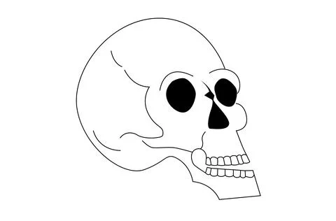Simple skull outline in profile view 库存插图