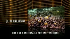 Simple Slide Show Stock After Effects