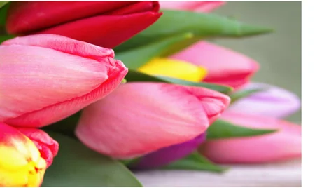 Simple slideshow of 60 photos After Effects stock