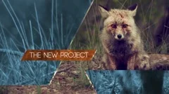 Simple Slideshow Movie Trailer and Titles Displays Photo Gallery Stock After Effects