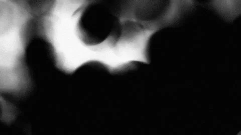 Simple, smooth animation in black, white and gray with soft moving shapes… Stock Footage 152135050