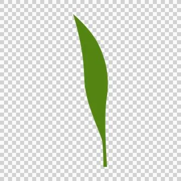 Simple solid green lily of the valley leaf on transparent. Illustrazione stock