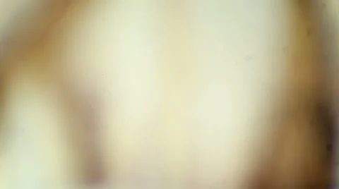 Simple squamous epithelium under the microscope (Simple Squamous Epithelium W.M. Video stock 47088103